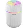 rongweiwang Humidificateur d'air 300 ML Bureau Chambre diffuseur brumisateur Portable Voyage décoration brumisateur