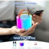 Ankuka Machine Karaoké Portable avec 2 Microphones sans Fil, Enceinte Bluetooth avec Effets Lumineux pour Enfants et Adultes,